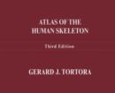 Image for Atlas of the Human Skeleton