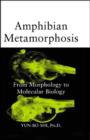 Image for Amphibian Metamorphosis