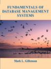 Image for Fundamentals of Database Management Systems