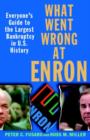 Image for What Went Wrong at Enron