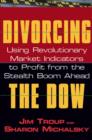 Image for Divorcing the Dow  : using revolutionary market indicators to profit from the stealth boom ahead