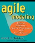 Image for Agile modeling: effective practices for eXtreme programming and the unified process