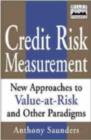 Image for Credit risk measurement: new approaches to value at risk and other paradigms