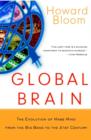 Image for Global brain  : the evolution of mass mind from the Big Bang to the 21st century