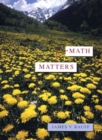 Image for Math Matters