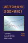 Image for Undergraduate Econometrics
