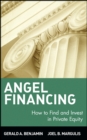 Image for Angel Financing