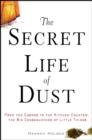 Image for The secret life of dust  : from the cosmos to the kitchen counter, the big consequences of little things