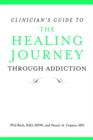 Image for Clinician&#39;s guide to the healing journey through addiction