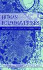Image for Human polyomaviruses  : molecular and clinical perspectives