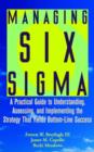 Image for Managing six sigma  : a practical guide to understanding, assessing, and implementing the strategy that yields bottom-line success
