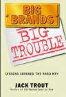 Image for Big Brands Big Trouble