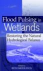 Image for Flood pulsing in wetlands: restoring the natural hydrological balance