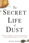 Image for The secret life of dust  : from the cosmos to the kitchen counter, the big consequences of little things