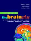 Image for The Brain Atlas