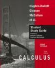 Image for Calculus Single Variable : Study Guide