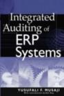 Image for Integrated auditing of ERP systems