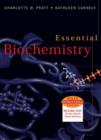 Image for Essential biochemistry