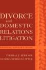 Image for Divorce and domestic relations litigation: financial advisor&#39;s guide