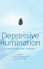Image for Rumination  : nature, theory &amp; treatment for nagative thinking in depression