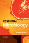 Image for Essential Microbiology