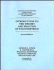 Image for Introduction to the Theory and Practice of Econometrics