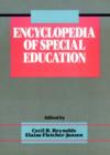 Image for Concise Encyclopedia of Special Education