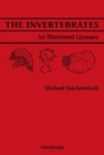 Image for The Invertebrates : An Illustrated Glossary