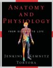 Image for Anatomy and physiology  : from science to life