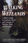Image for Walking the Wetlands
