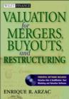 Image for Valuation  : mergers, buyouts and restructuring