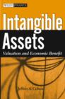 Image for Intangible assets  : valuation and economic benefit