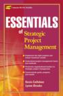 Image for Essentials of strategic project management