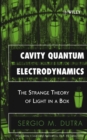 Image for Cavity quantum electrodynamics: the strange theory of light in a box