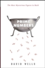 Image for Prime numbers: the most mysterious figures in math