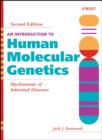 Image for An Introduction to Human Molecular Genetics : Mechanisms of Inherited Diseases