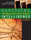 Image for Assessing adolescent and adult intelligence
