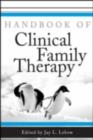 Image for Handbook of clinical family therapy