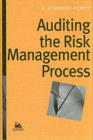 Image for Auditing the risk management process
