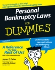 Image for Personal Bankruptcy Laws For Dummies
