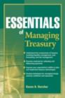 Image for Essentials of Managing Treasury