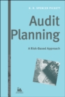 Image for Audit planning: a risk-based approach