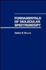Image for Fundamentals of Molecular Spectroscopy