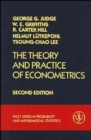 Image for The Theory and Practice of Econometrics