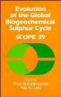 Image for Evolution of the Global Biogeochemical Sulphur Cycle