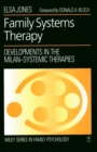 Image for Family Systems Therapy : Developments in the Milan-Systemic Therapies