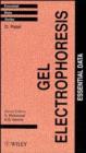 Image for Gel Electrophoresis