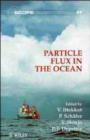 Image for Particle Flux in the Ocean