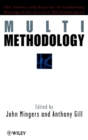 Image for Multimethodology  : towards theory and practice for mixing and matching methodologies