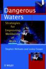 Image for Dangerous waters  : strategies for improving wellbeing at work